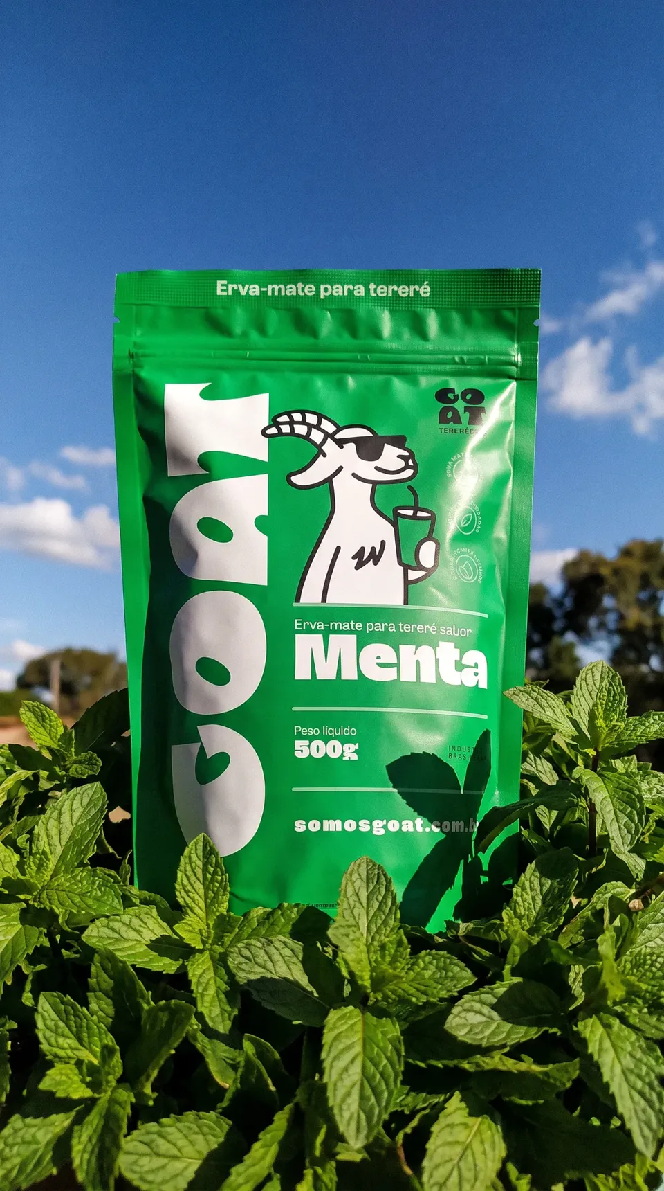 Embalagem Menta da Goat de pé num canteiro de hortelã, com céu azul ao fundo